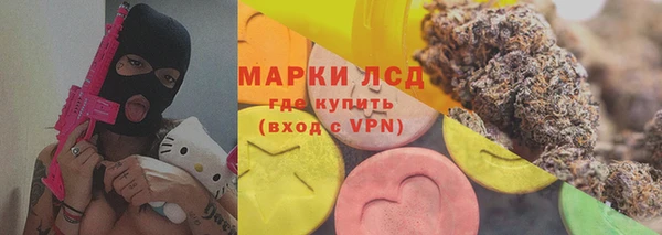 сатива Белокуриха
