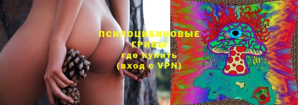 MDMA Богородицк