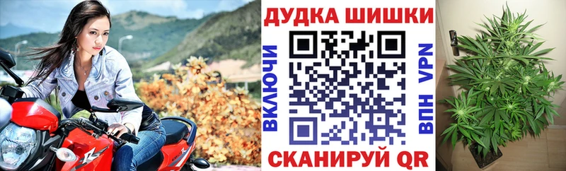 Бошки Шишки Ganja Белокуриха